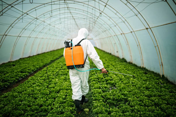 Trusted Middleton, ID Pest Control Experts
