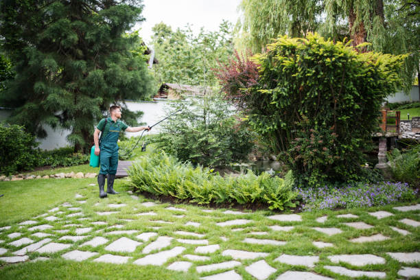 Best Affordable Exterminators  in Mdleton, ID