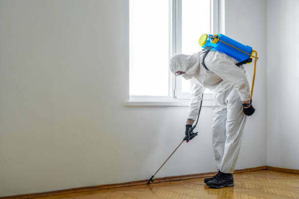 Best Best Pest Control Companies  in Mdleton, ID