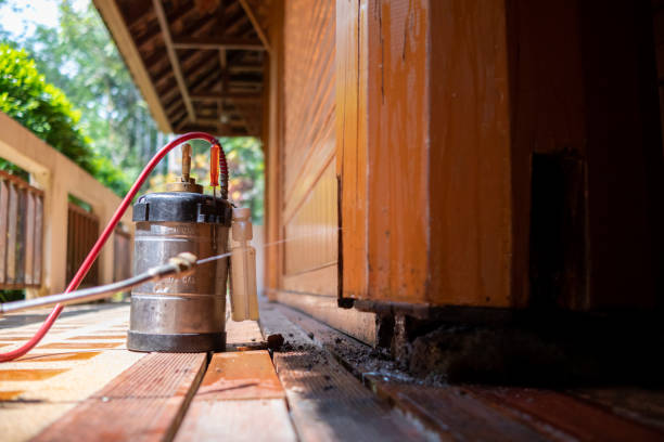 Best Termite Control Services  in Mdleton, ID