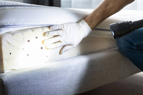 Best Best Pest Control Companies  in Mdleton, ID