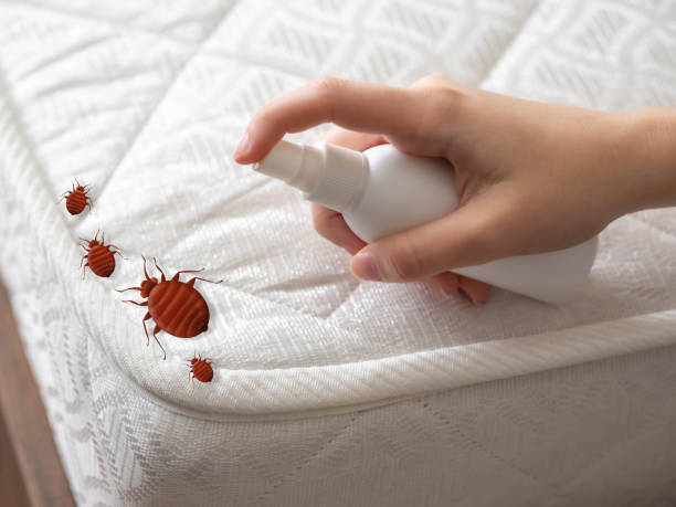 Best Mosquito Control Services  in Mdleton, ID