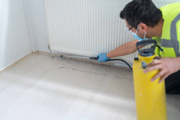 Best Pest Control Near Me  in Mdleton, ID